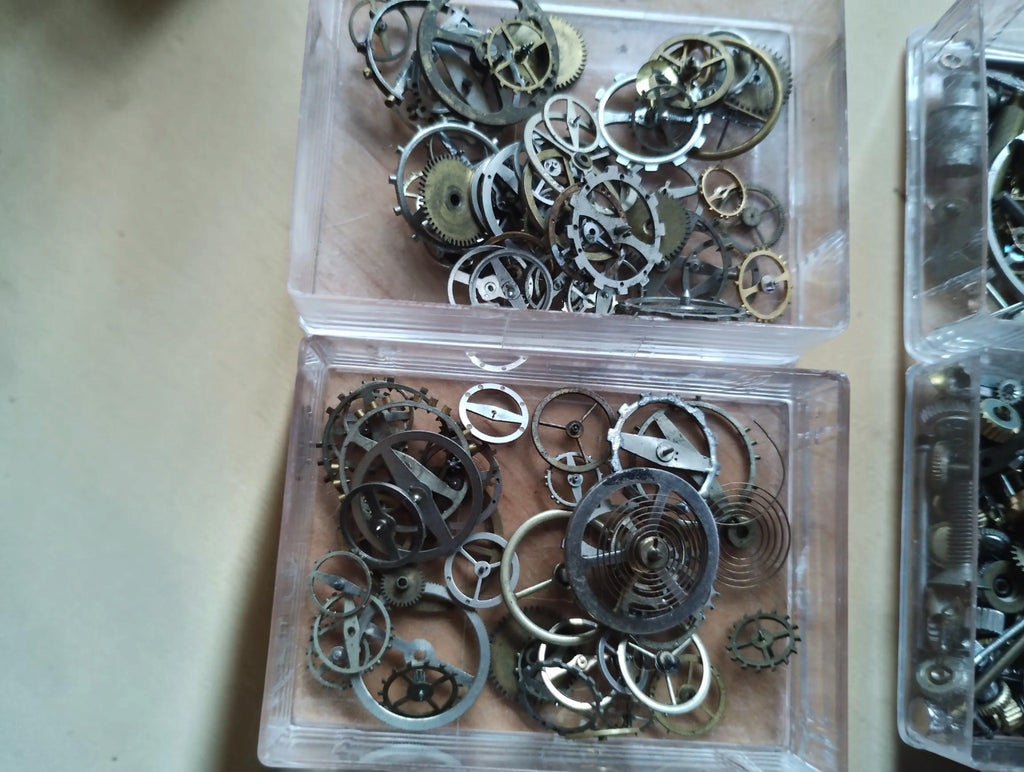 Vintage watch balance wheels, coiled hairsprings and small gears displayed in an open clear box and its lid.
