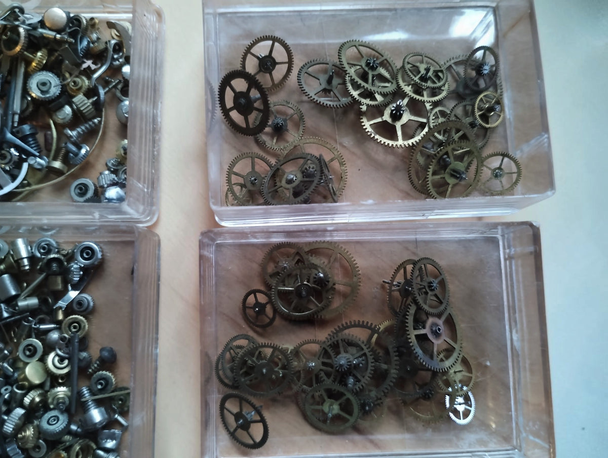 Assorted spoked watch gears and toothed wheels displayed in an open clear box and its lid.
